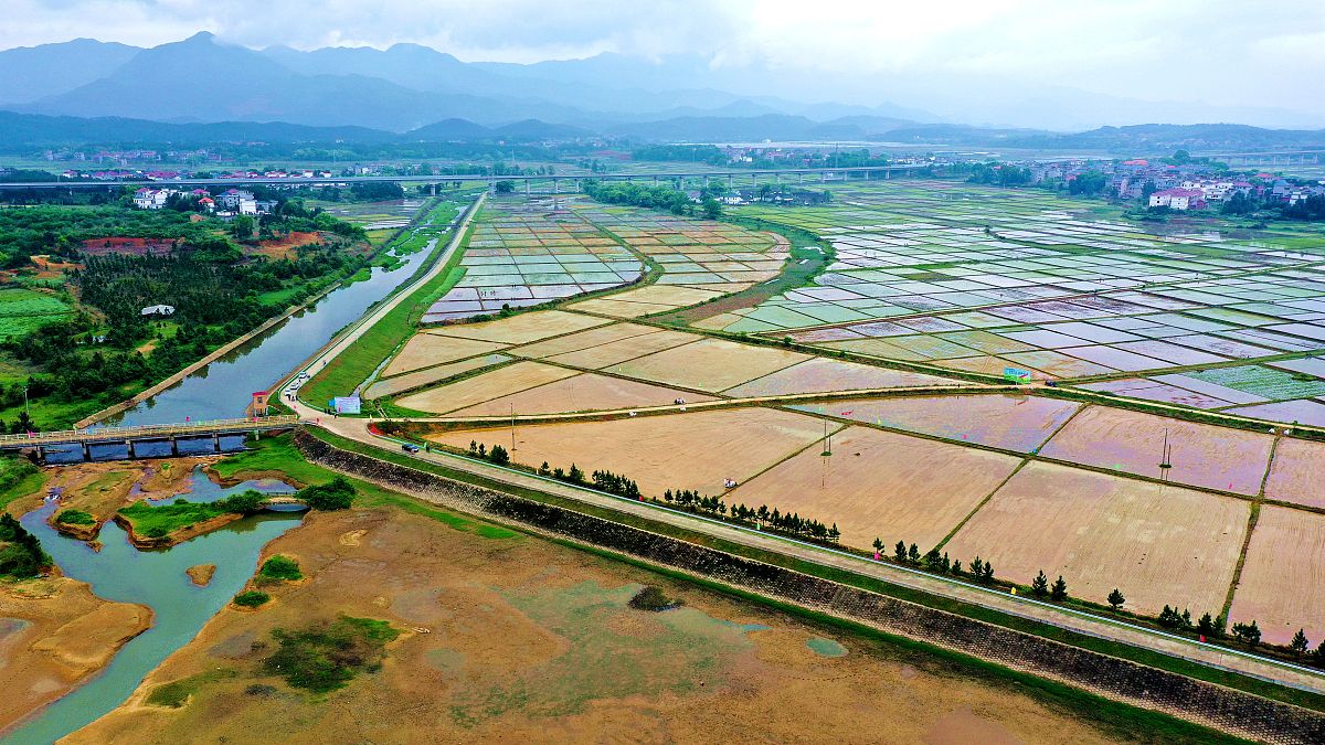 2021年4月9日,江西省吉安市吉水县醪桥镇宋家边村,吉水中波农业专业合