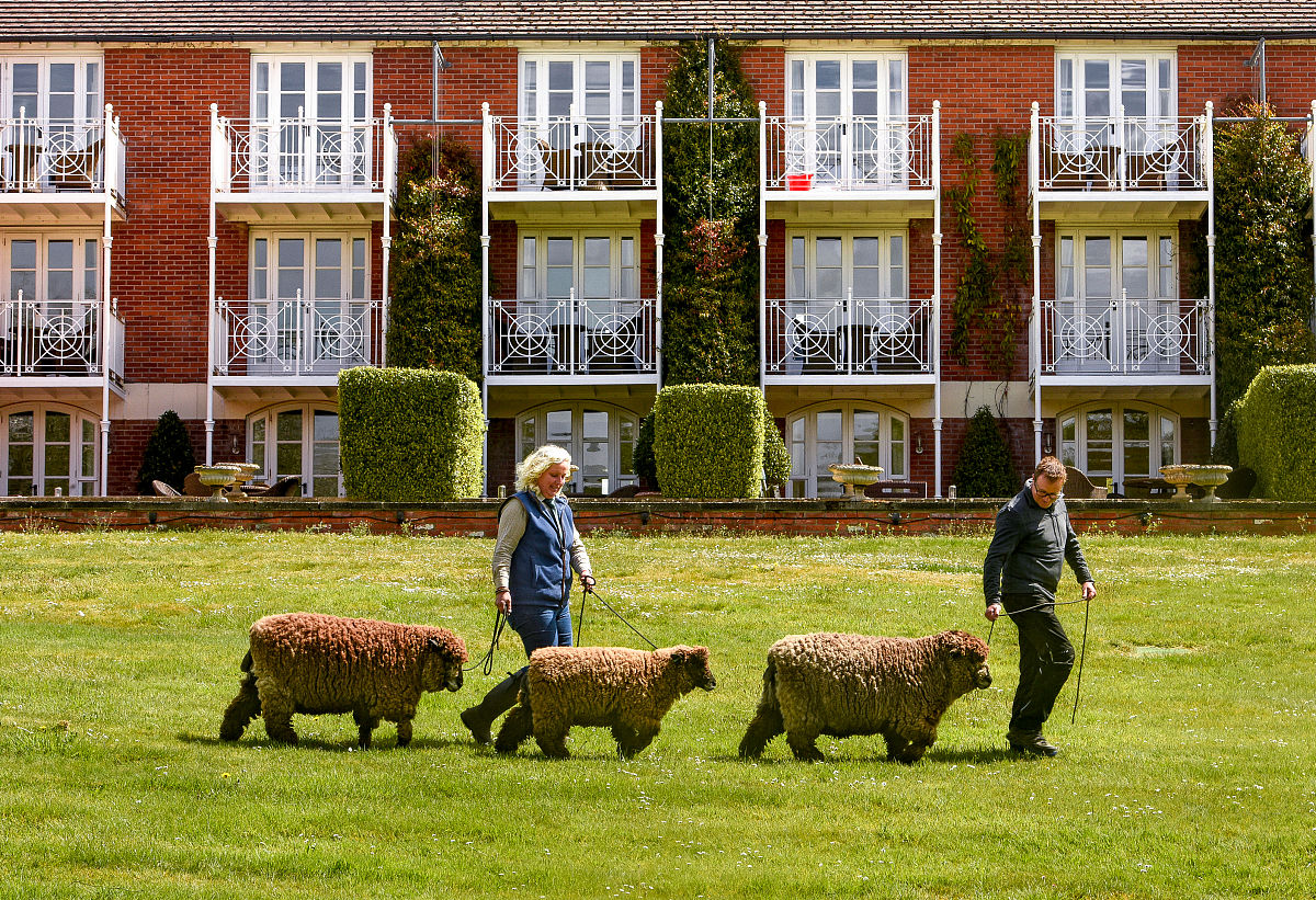 贵定县中等职业学校招生办联系电话 - 报名咨询、招生信息一站式服务