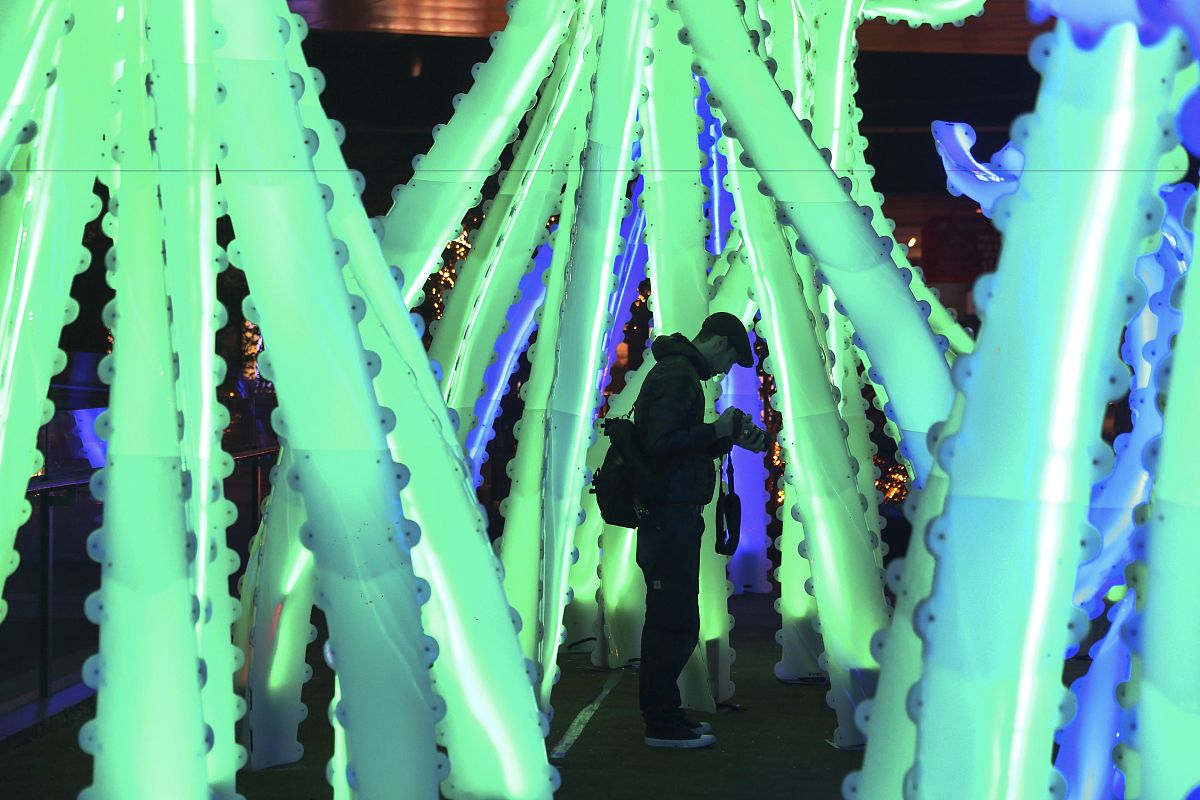 论述仿生学与仿生设计学的联系和区别请举例说明