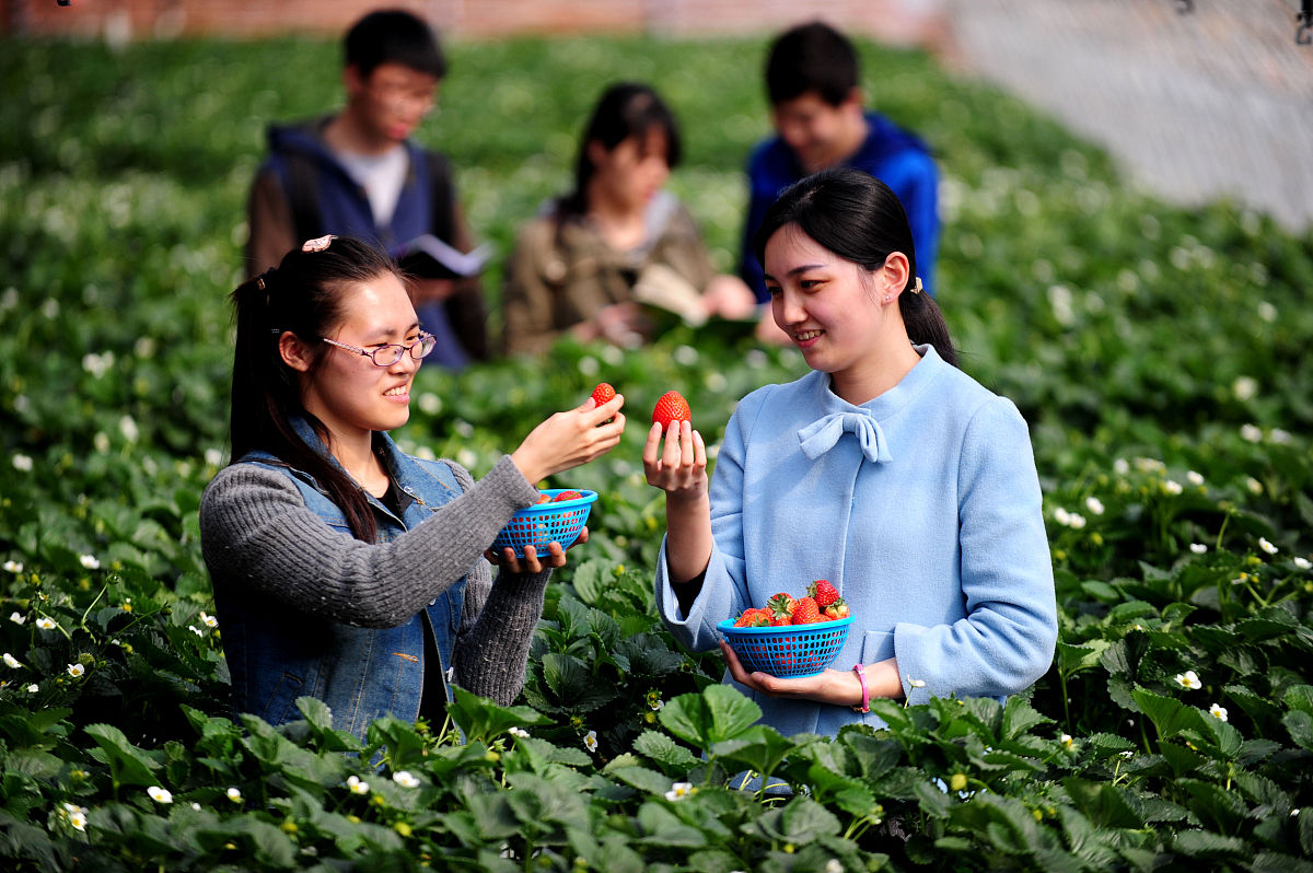 探寻臻善美：培养小学生诚信品质的奇妙之旅