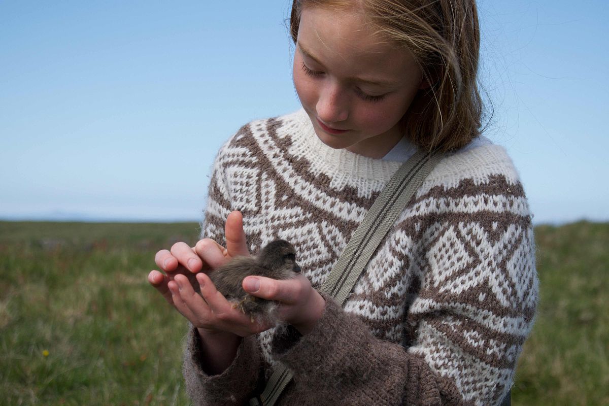 冷冻绿花菜净重指标 DTN-E 解释：100 kg/net eda = 100 公斤净重