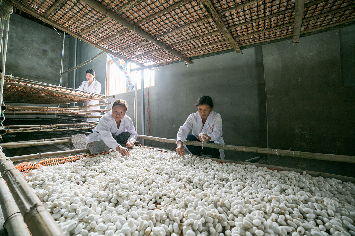 毕节高中补习班哪家好？选择指南助你提分！