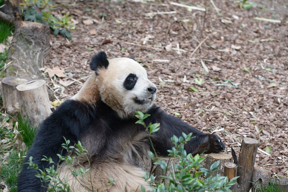 成都中专学校哪个专业比较好？2021年热门专业推荐