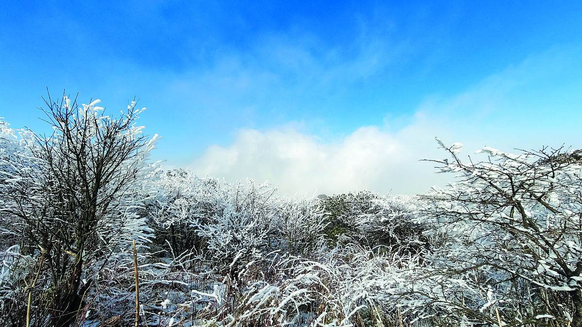绵阳安州区高级职业中学2022年招生简章 - 报名条件/专业设置
