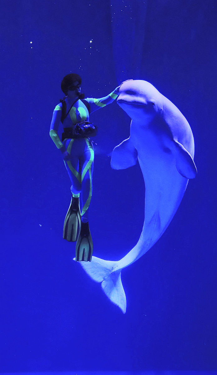 泉州海洋职业学院酒店管理专业好就业吗