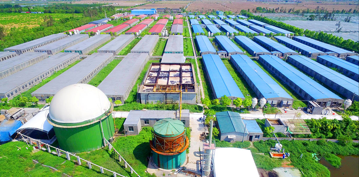 冷库建设规划：缺乏规模化农业的风险分析