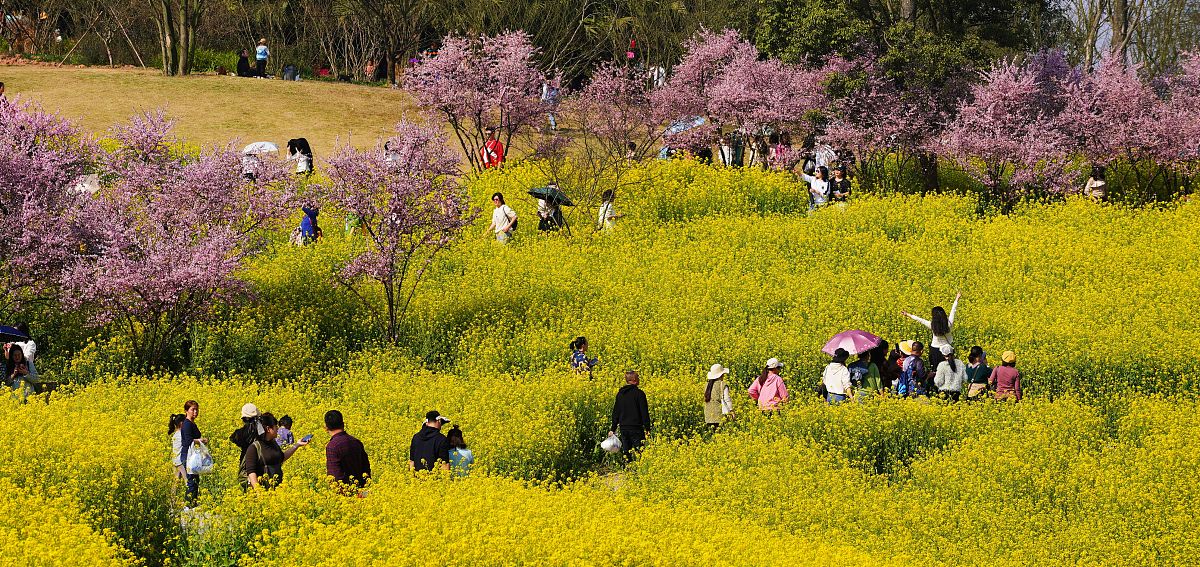 春天时候做什么