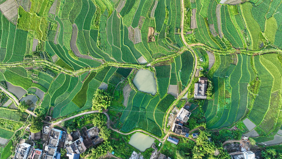 城乡绿地系统规划和乡村振兴的关系