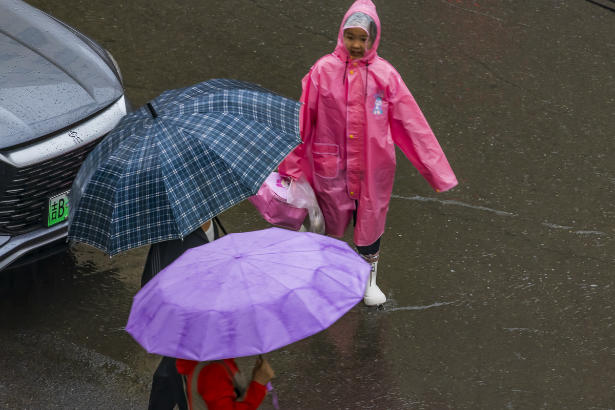 下雨天需要打伞吗？ | 保持干燥的最佳选择