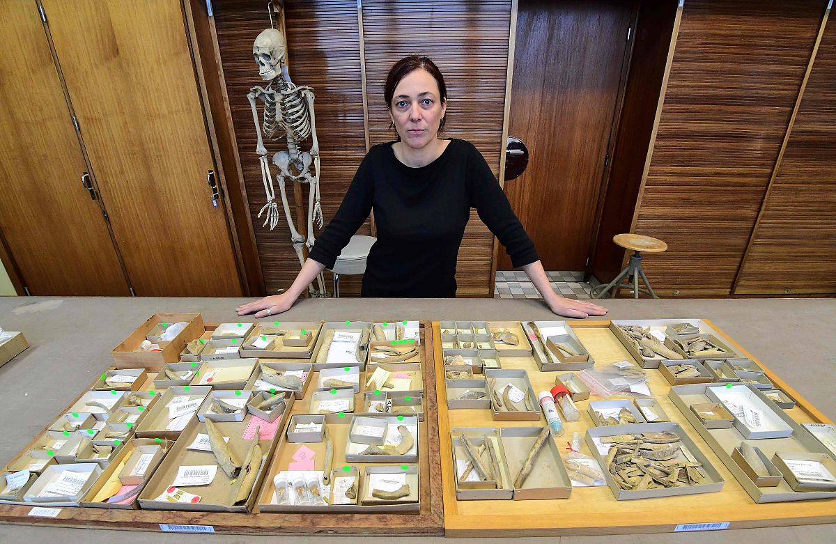 唯物主义自然观：理解物质世界和自然规律