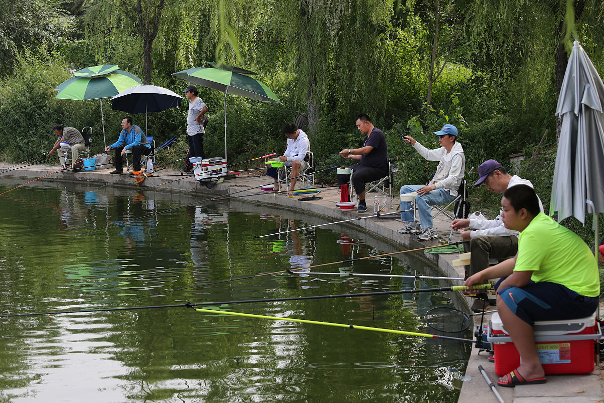 钓鱼的乐趣：享受自然，放松身心