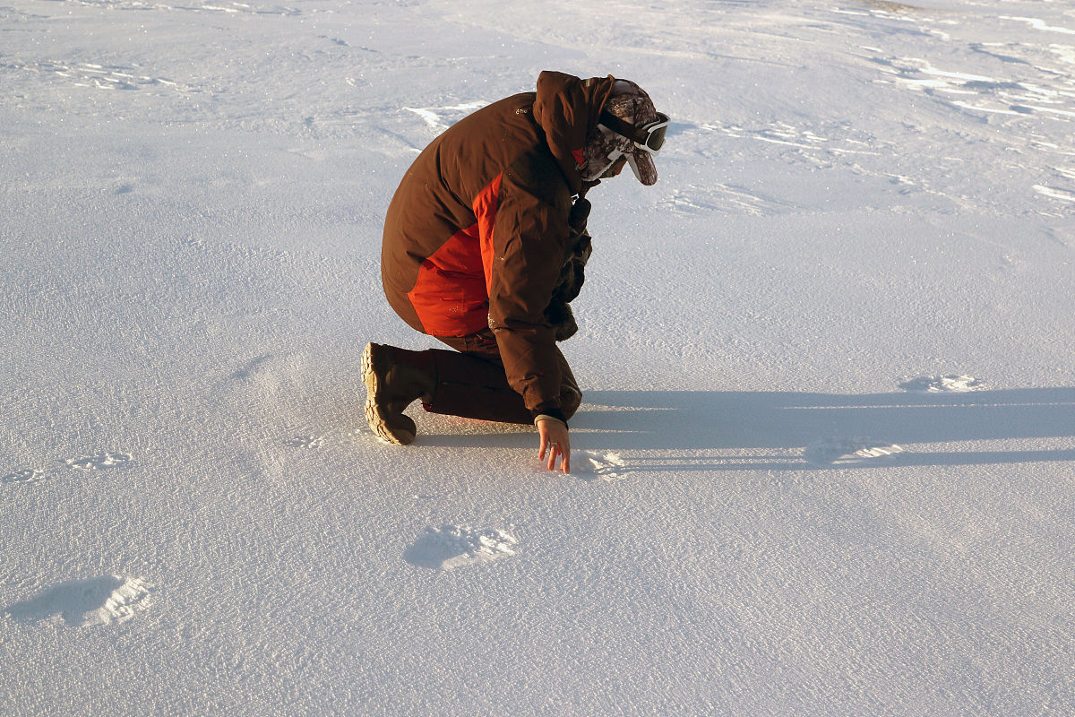 一个组织结构中 每个部门有自己的部门代码和上级部门代码 每个成员有自己所属部门代码。怎么判断2个人员上下级关系