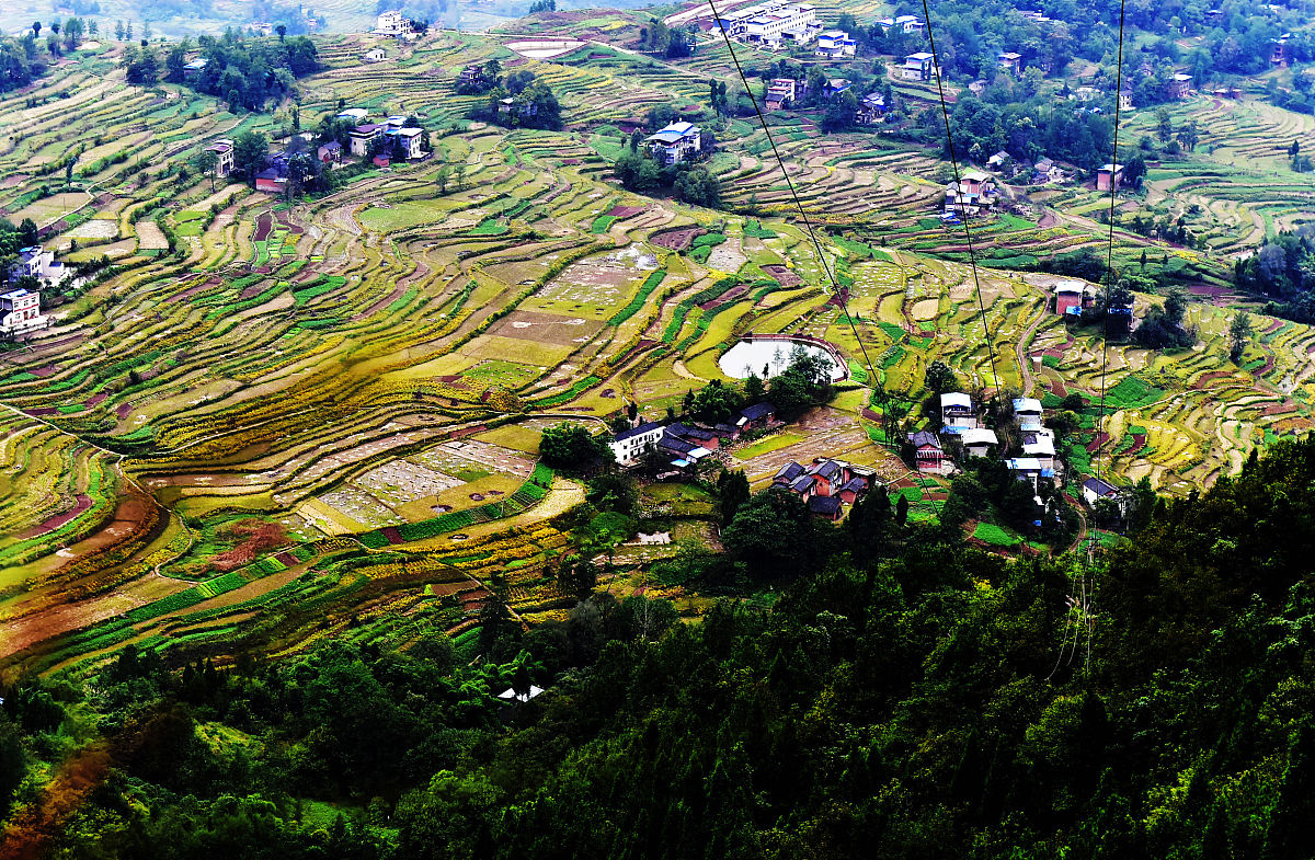 重庆市万州分水中学校2023年招生简介及简章 - 优质教育，成就未来