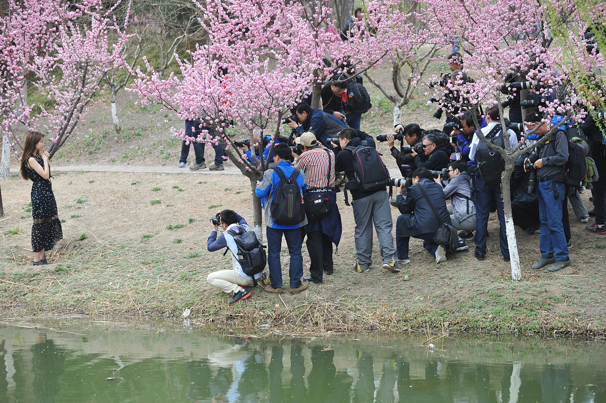 2015年3月29日,北京奥林匹克森林公园,一个摄影论坛组织的外拍活动,这