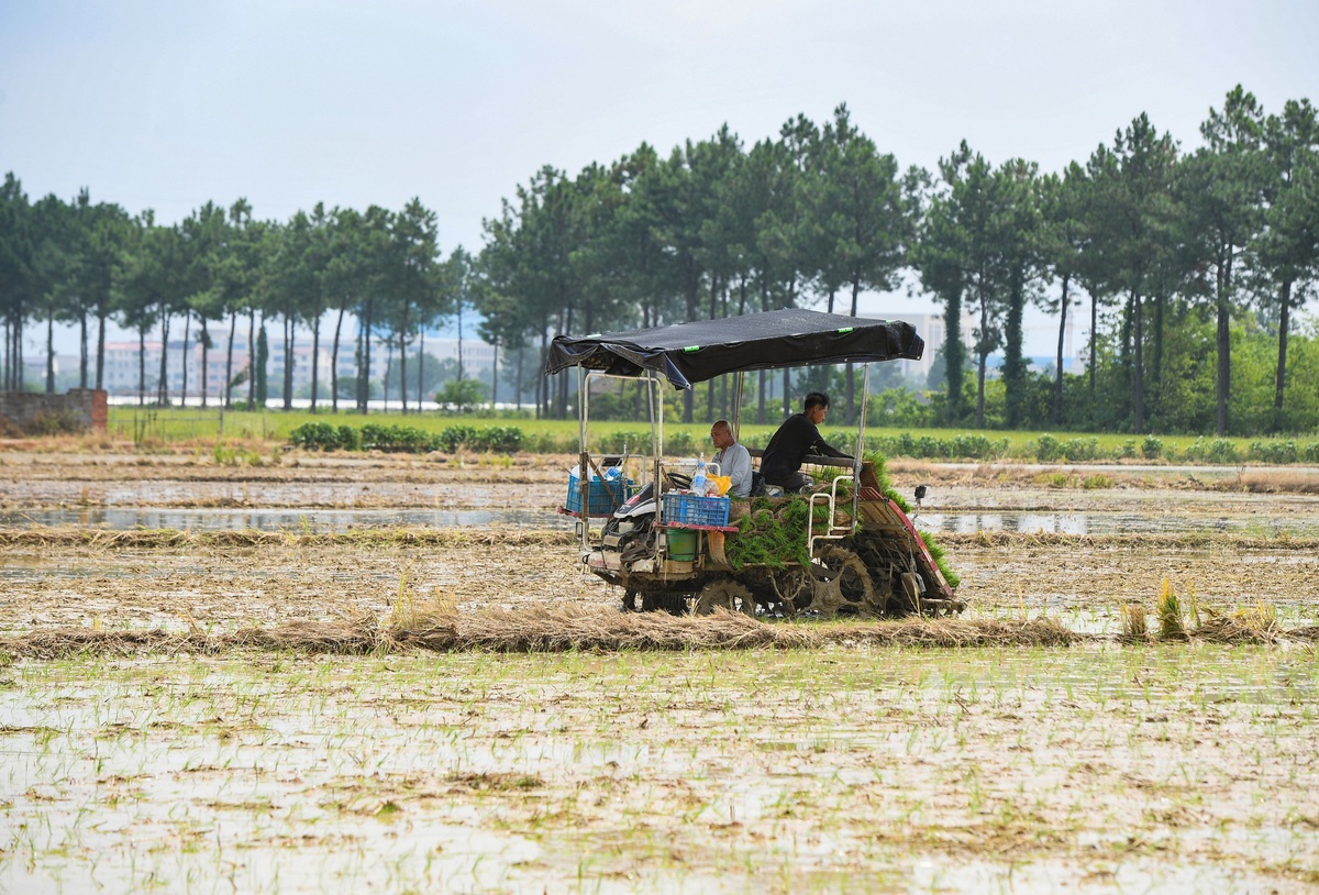 劳动形式演变：从农耕到科技，创造美好生活的事实不变