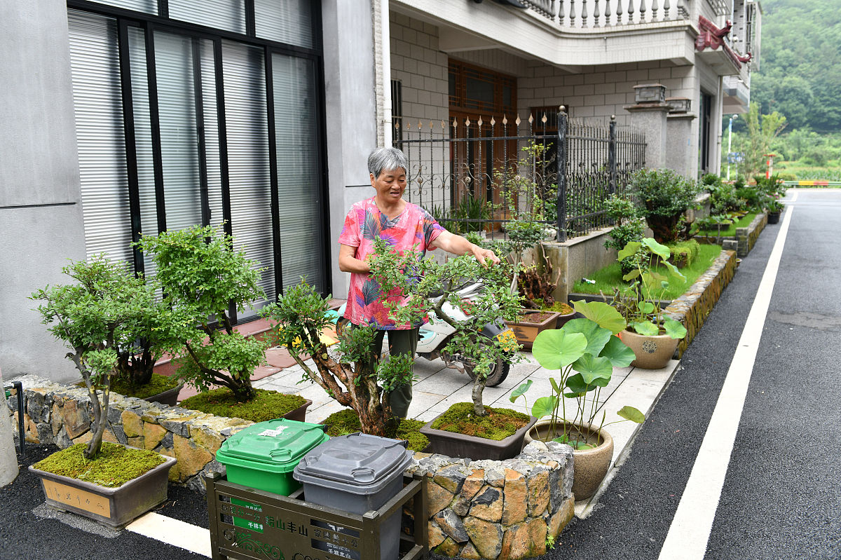 请列举中国农村建设泛盆景化倾向的新闻报道并分别总结每篇文章的主要内容