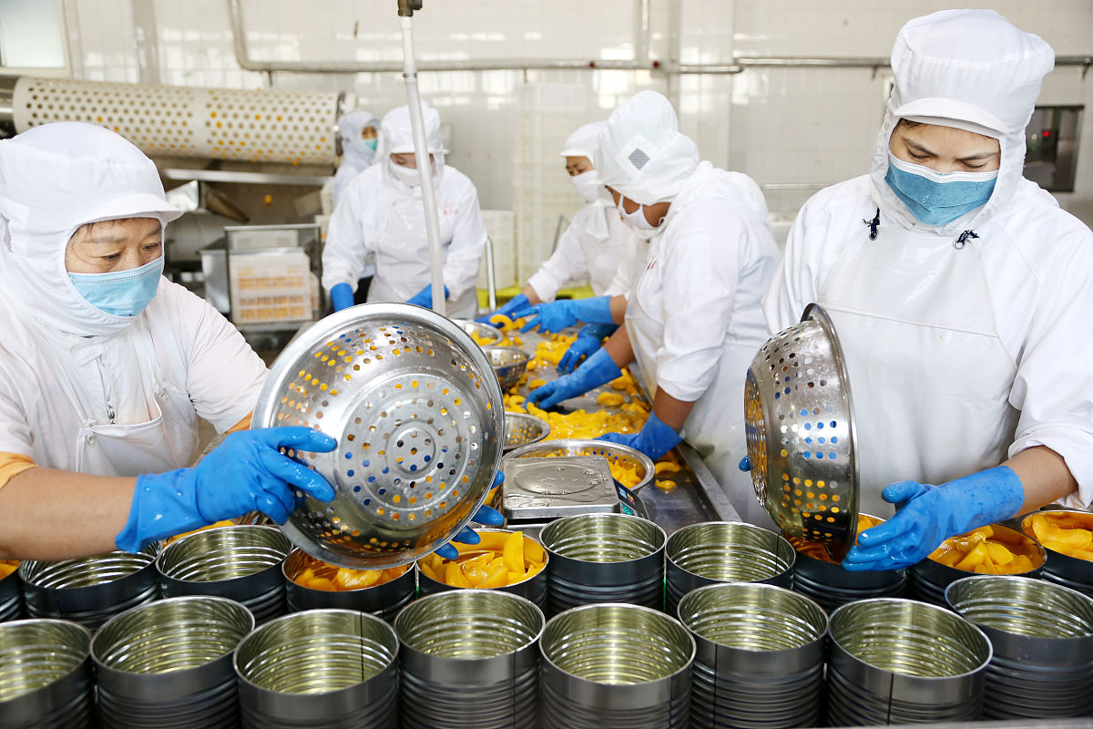 食品科学与工程专业：未来发展前景广阔，就业前景乐观