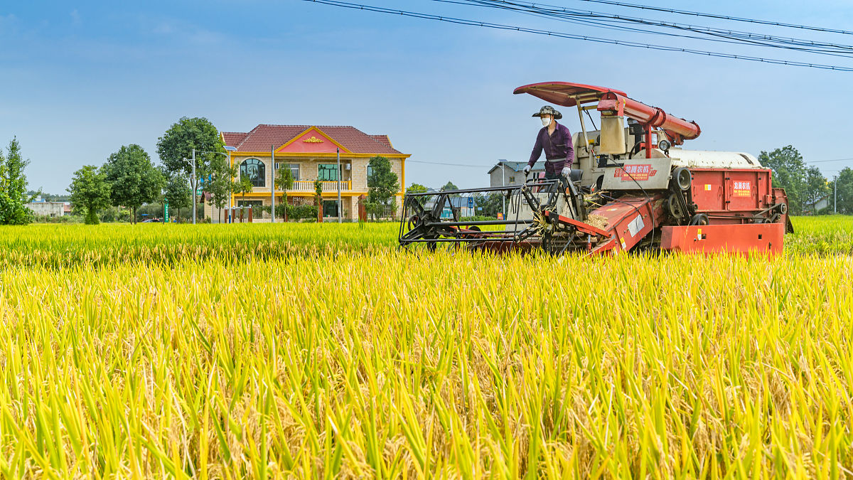 四川电子机械职业技术学院汽车制造与维修专业招生