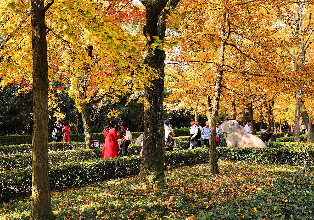 广州的秋天：感受变幻多姿的季节