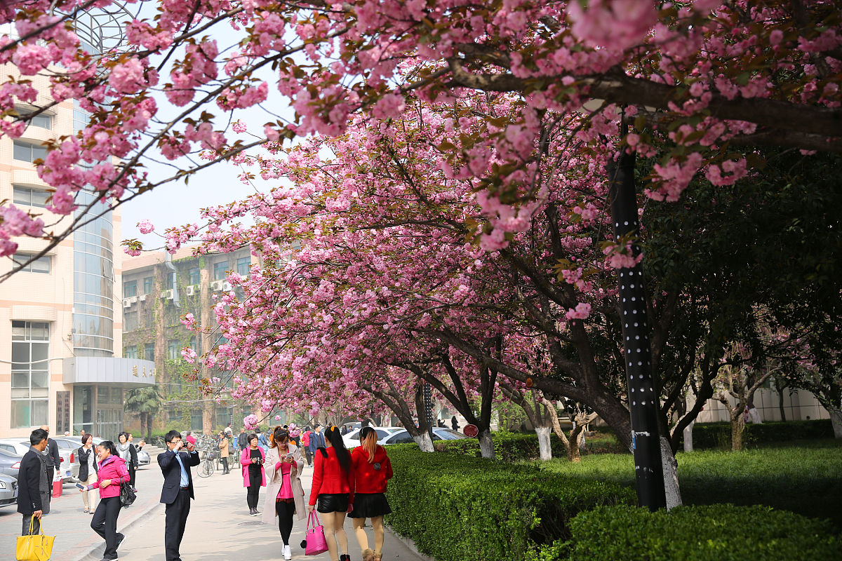 资阳职业高中校园风景：赏美景，享美好