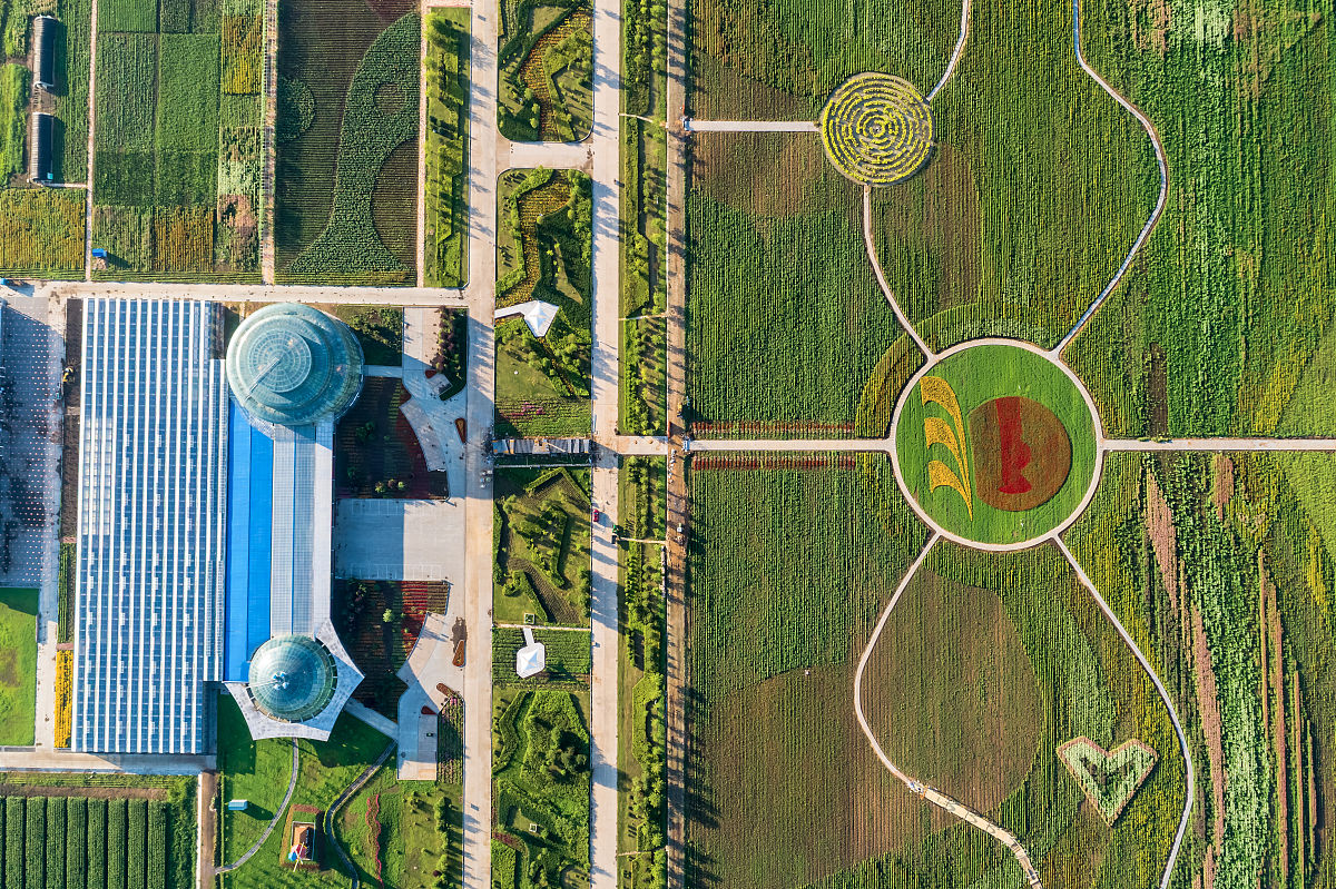 黑龙江农业经济职业学院应用俄语专业就业方向：政府机构、企业、教育、媒体等