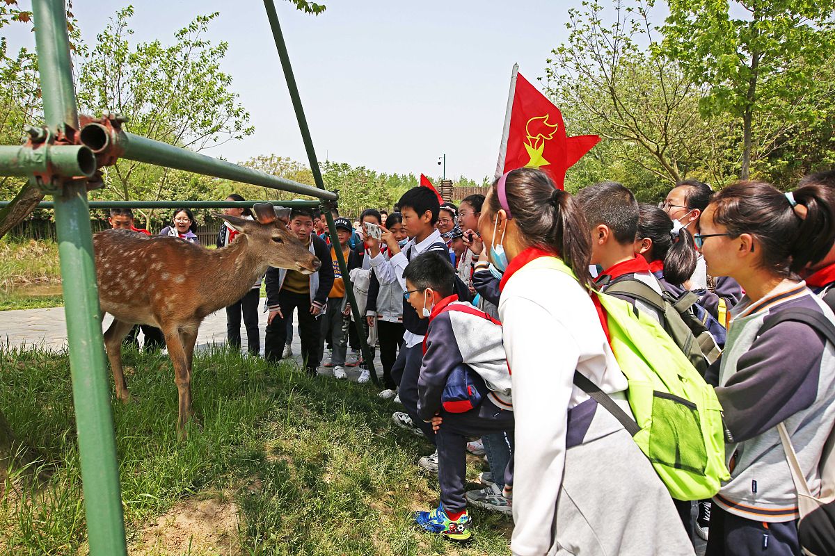 四川计算机学校推荐：2021年学什么专业好？