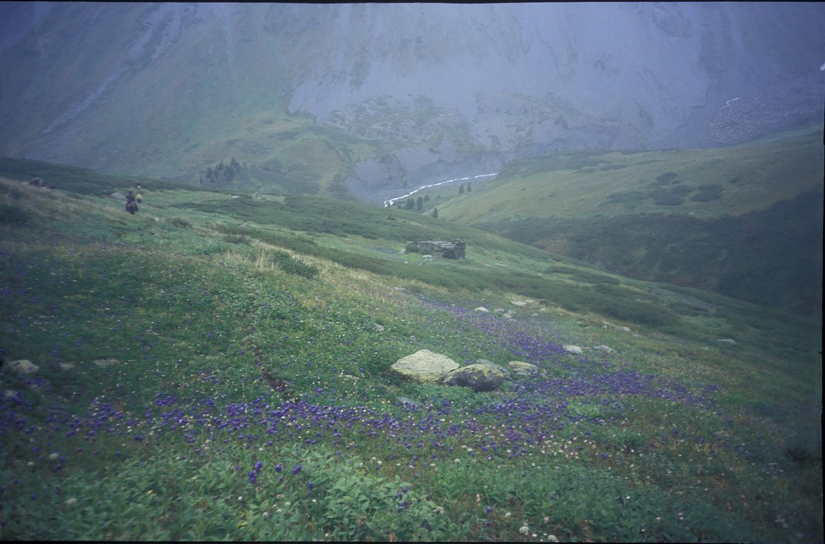 喀纳斯景区的功能分区按照一心两翼的方法归纳并详细阐述东西两翼分别是指什么 5000字