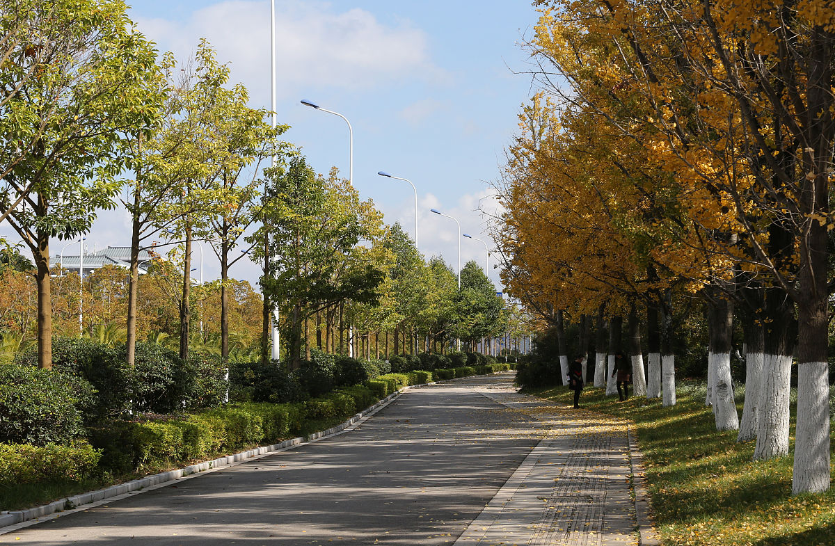 云南财经师范大学呈贡校区2022年幼师招生简章 - 报名时间及条件