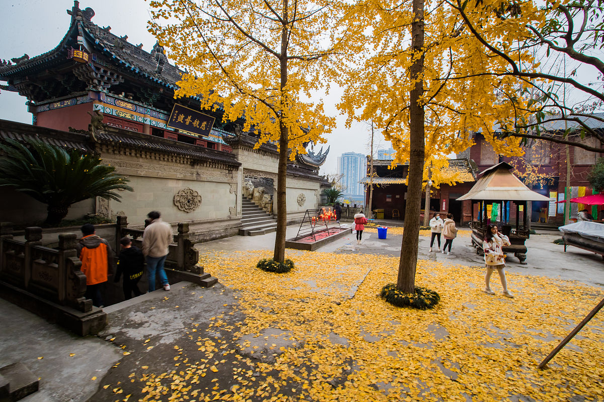 重庆市行知职业技术学校酒店服务与管理专业就业前景分析