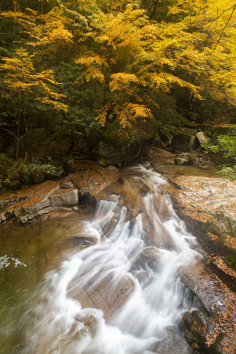 四川读旅游民航服务专业可以到哪些学校