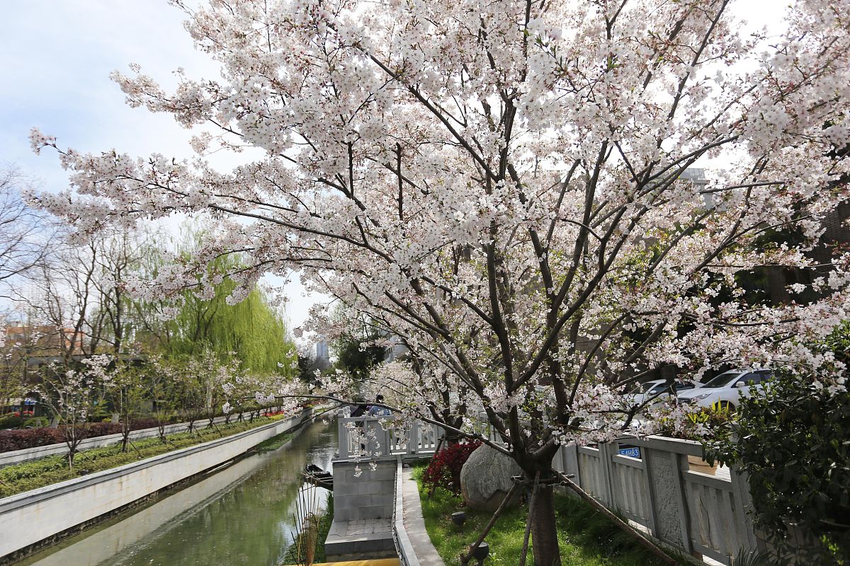 湖北宜昌城市建设学校2023年开设了哪些专业
