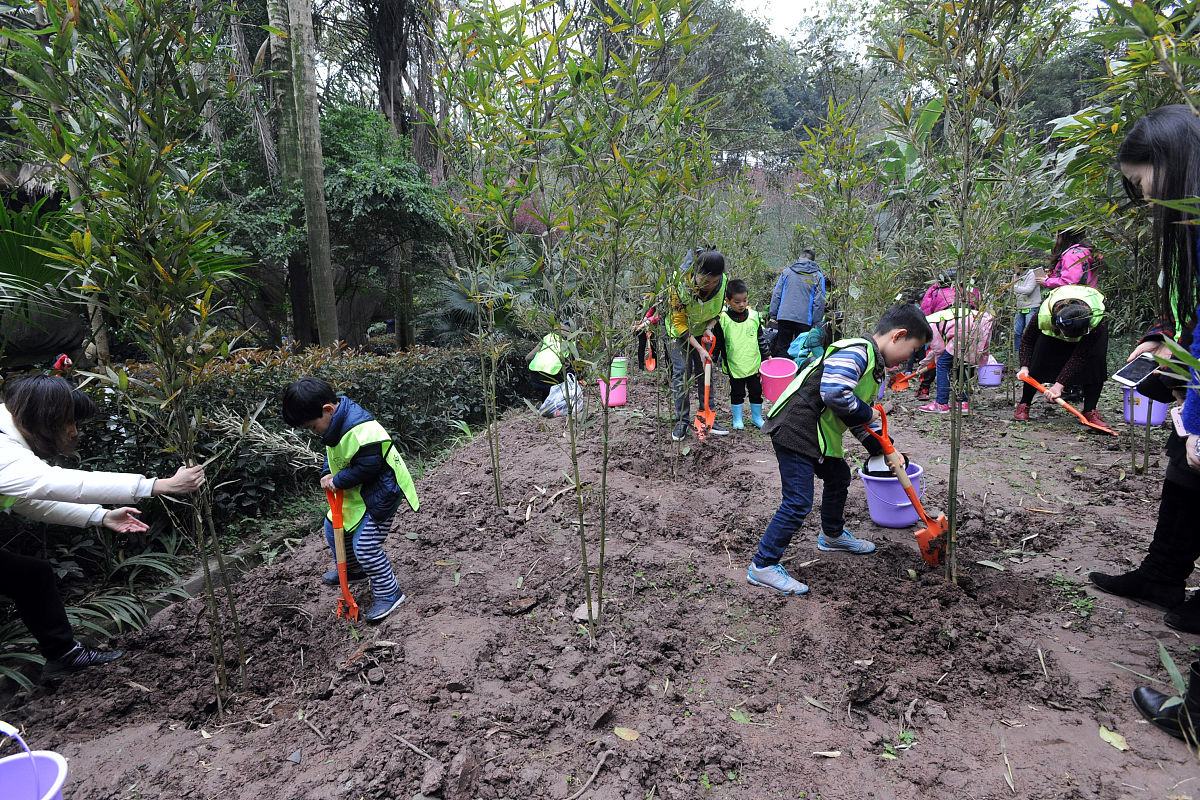 如何获取不同期刊的起名规则并将期刊的不同起名规则统一化