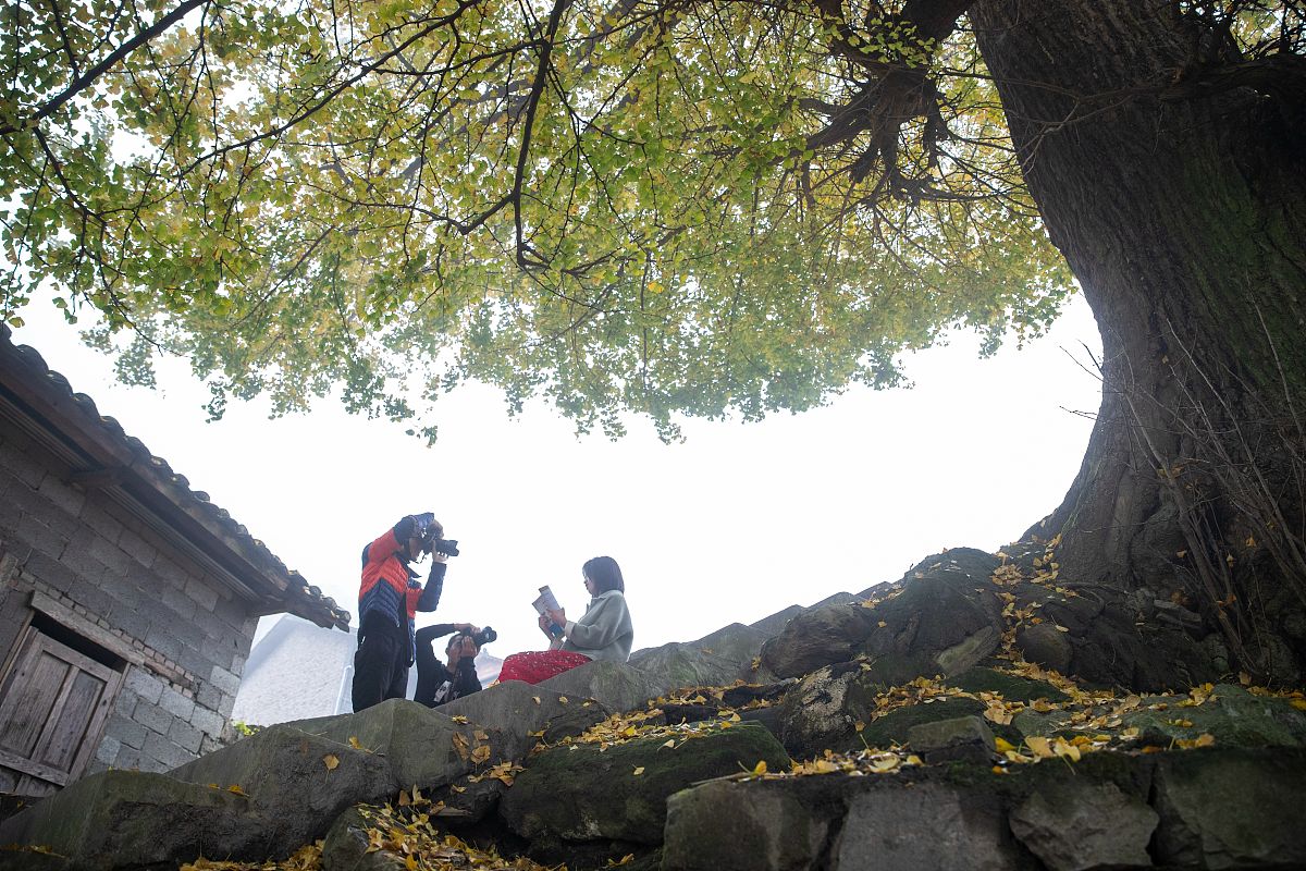 重庆南川隆化职业中学校农业机械使用与维护专业怎么样？