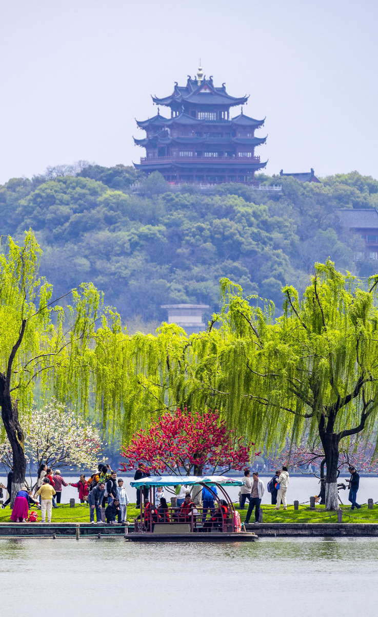 2026年4月1日,杭州,白堤桃红柳绿游人如织.
