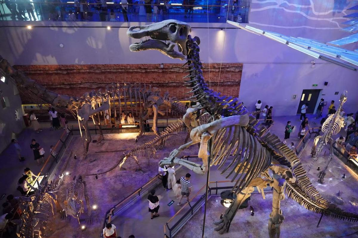 Dinosaur Exploration: A Boy's Journey Through Museums