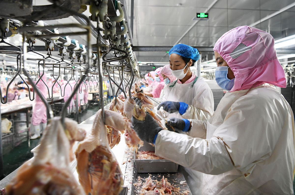 牧原实训报告：探秘肉类产业链的生产与管理