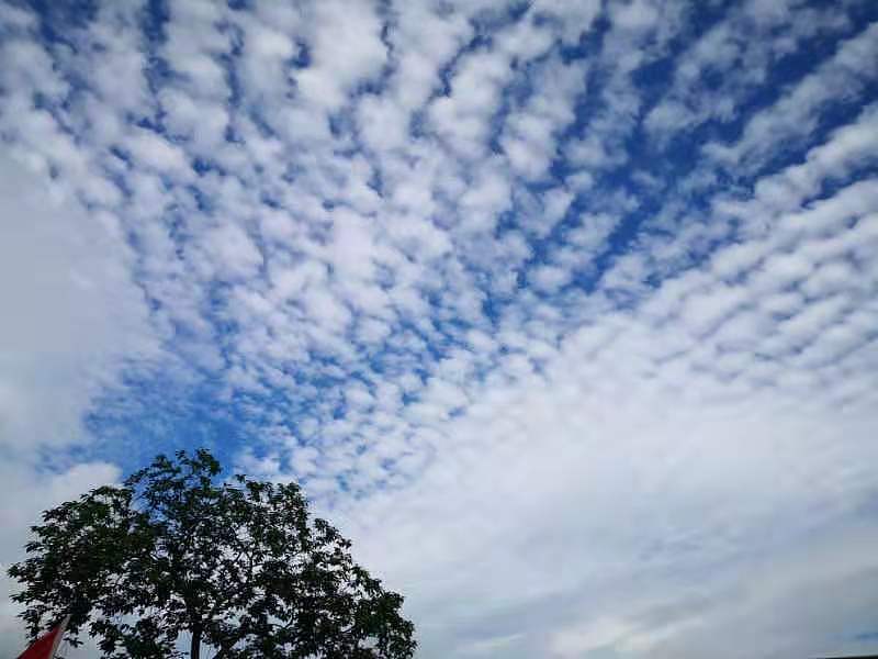 2020年6月29日,江苏省南京市,雨过天晴,天空出现条形纹状的白云,煞是