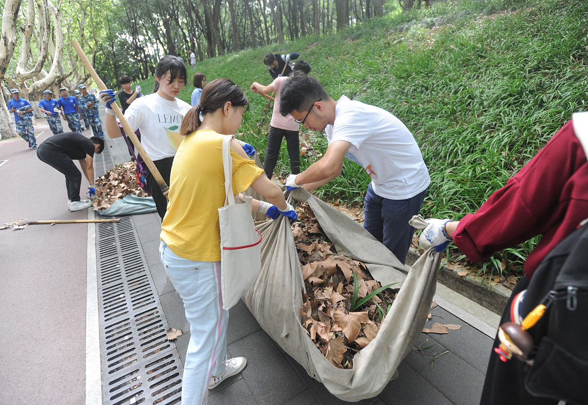 大学班级垃圾清理活动：营造整洁校园，提高环保意识