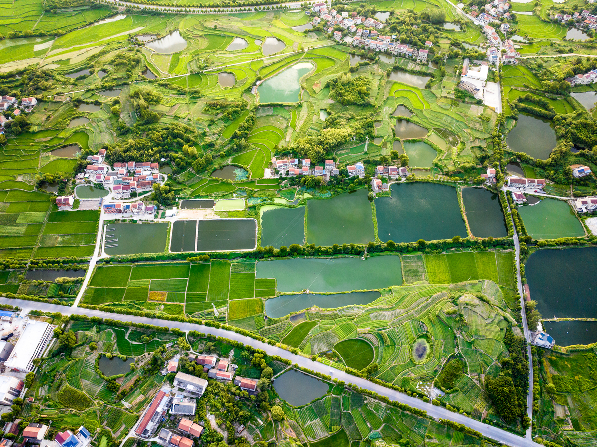 分析特色小镇如何助力乡村振兴