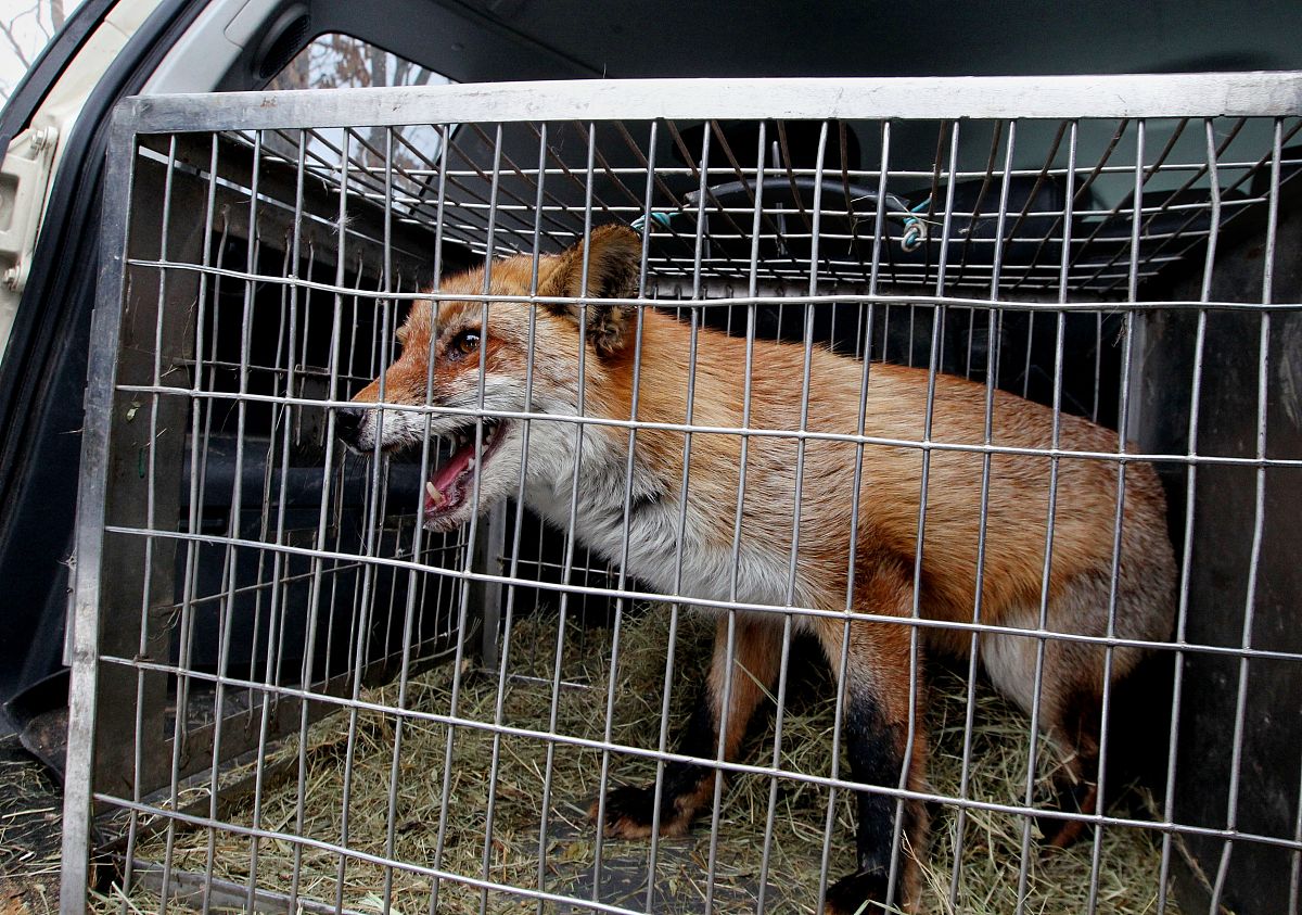 揭阳卫生学校2022年有哪些专业