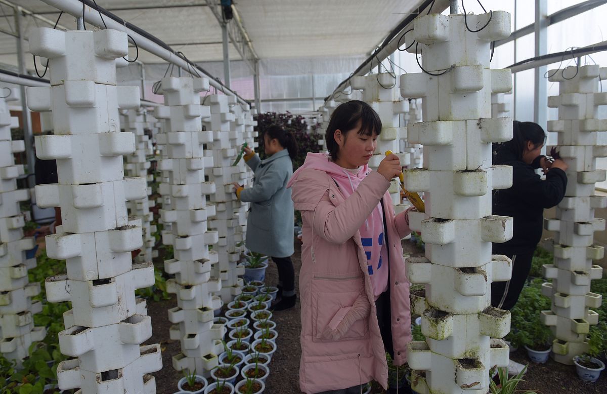 2022年贵州盘州职业技术学校招生专业