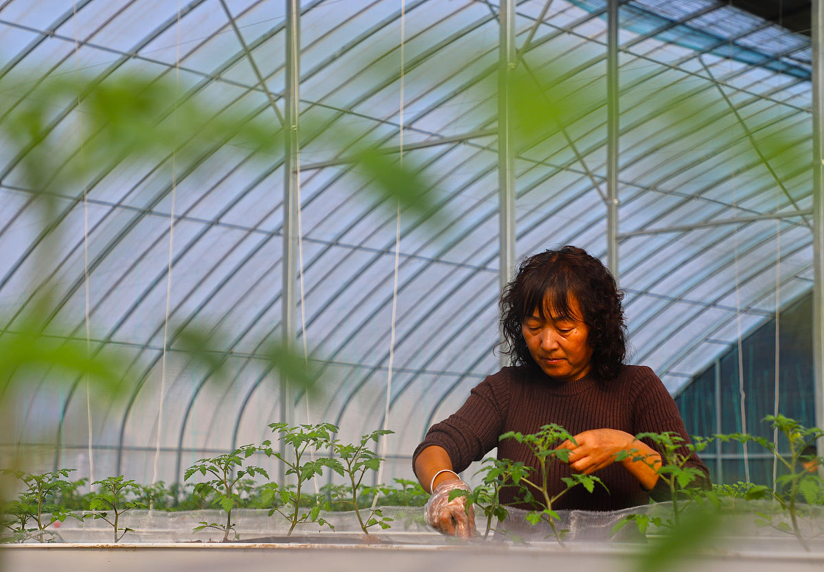 河南职业技术学院师资环境好不好