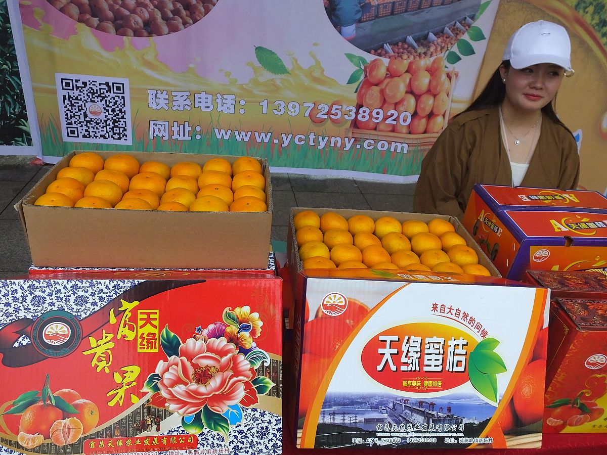 田东芒果文化节社会文化影响调查问卷：李克特五分制量表