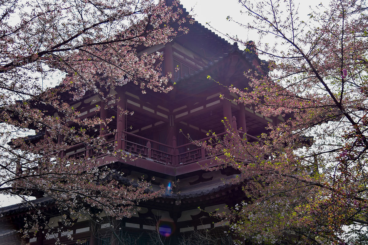 河南检察职业学院旅游管理专业就业前景和就业方向