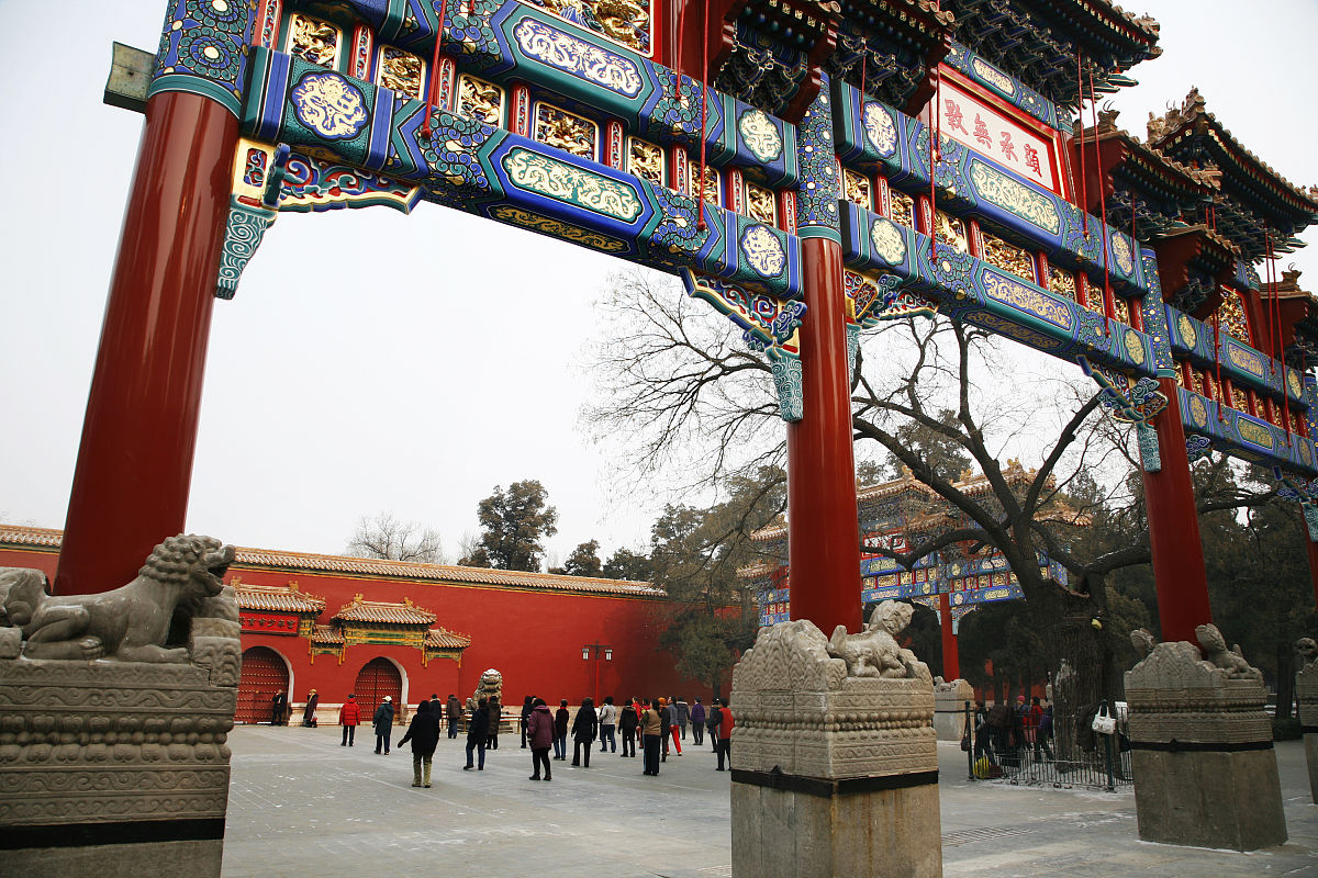 南京市初中5年制大专学校简介专业办学规模多大