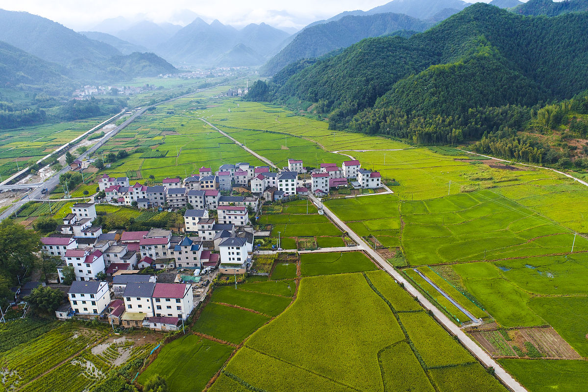 淳安育才学校2021年招生专业都有哪些