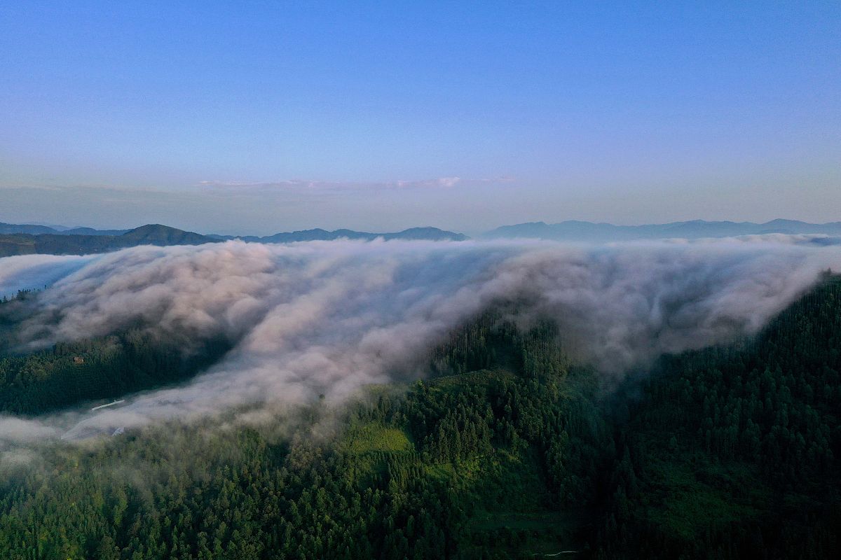贵州媒体曝光平台汇总：老百姓维权指南