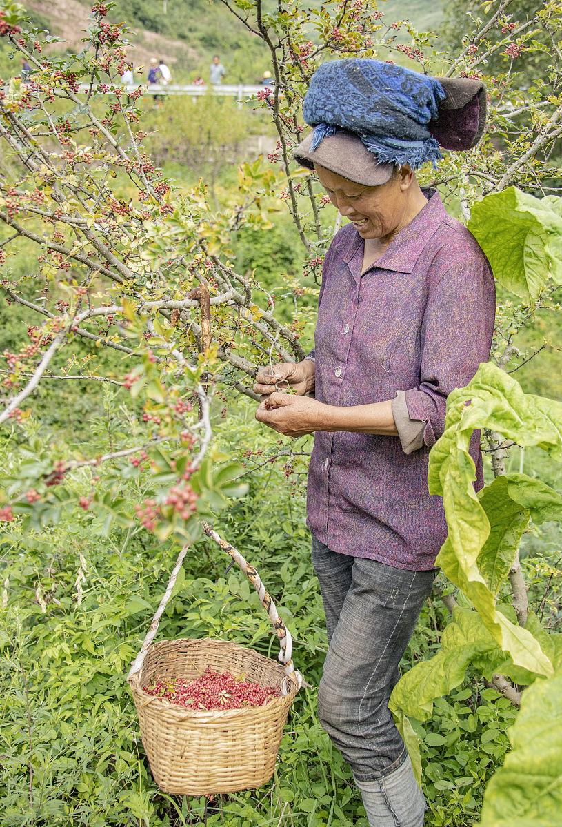 四川保安专业哪个学校好？_选择保安专业你需要知道的