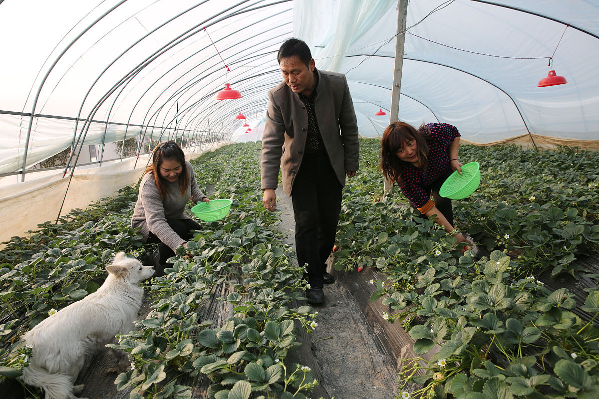 西安工业大学会计电算化专业就业前景分析 - 未来发展趋势及职业方向
