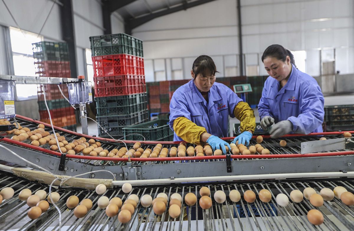 贵州现代经济学校2019年生物制药专业招生简章